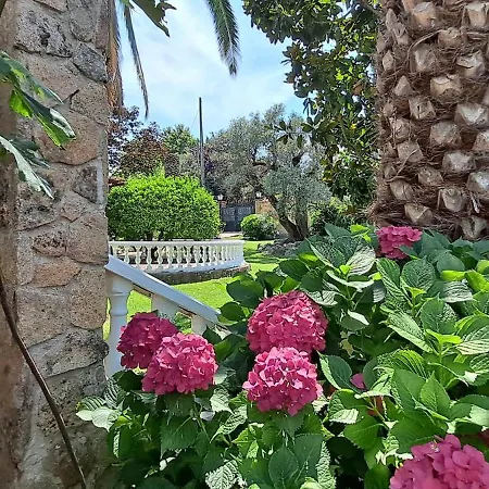 Casa Del Pintor Antonio Mesa * Момбельтран